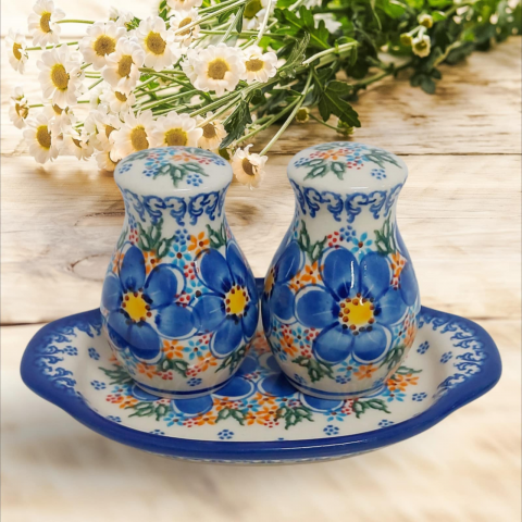 SET FOR SPICES EVA 350-U-097 GAT I